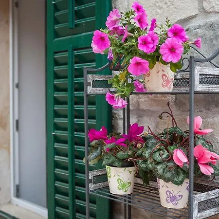 Апартаменти Phoenix Спліт