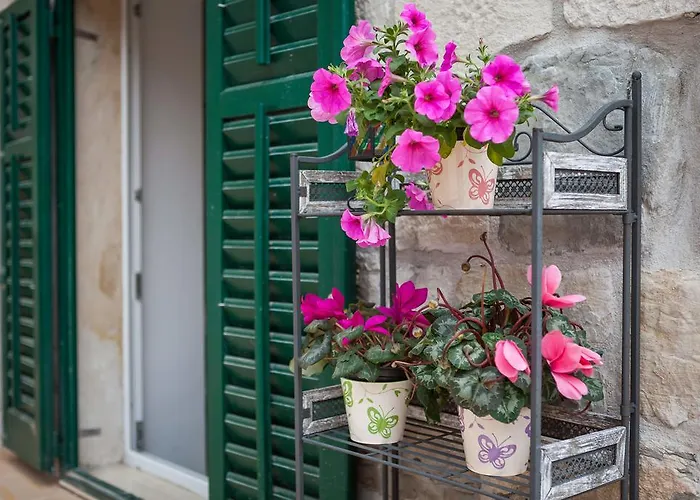 公寓 Phoenix 斯普利特